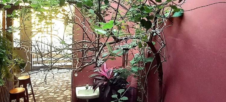 罗萨利拉酒店(Hotel Rosalila)图片