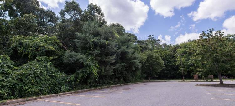 新伦敦速8酒店(Super 8 by Wyndham Groton)图片