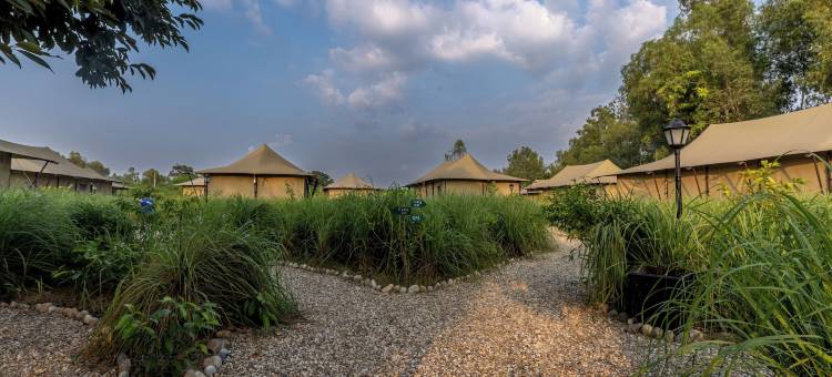 Aalia丛林班达再次(Aalia Jungle Retreat and Spa, Bandarjudh, Haridwar - Araiya Anthology)图片