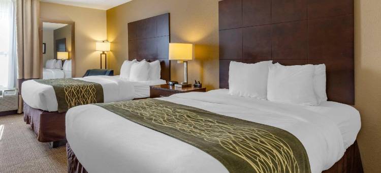 舒适酒店(Comfort Inn)图片