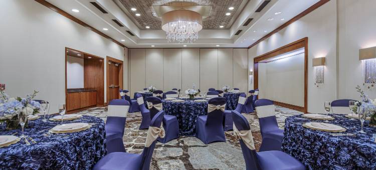 休斯顿市中心希尔顿安泊酒店(Embassy Suites by Hilton Houston Downtown)图片