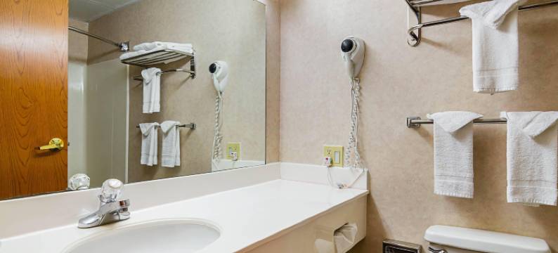 凯艺酒店-玫瑰花蕾(Quality Inn Rosebud Casino)图片