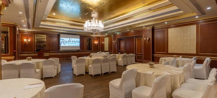 贾朗达尔丽筠酒店(Radisson Hotel Jalandhar)图片