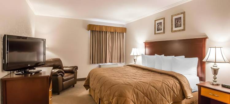 凯艺会议中心酒店(Quality Inn & Conference Centre)图片