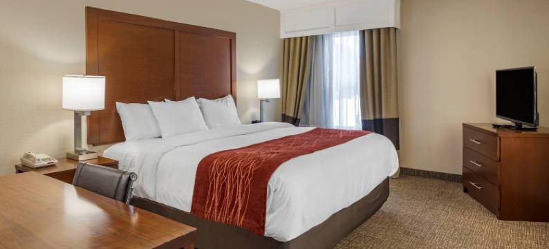机场舒适套房酒店(Comfort Inn & Suites Airport)图片