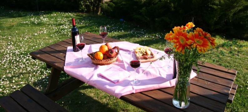 Authentic pool house图片