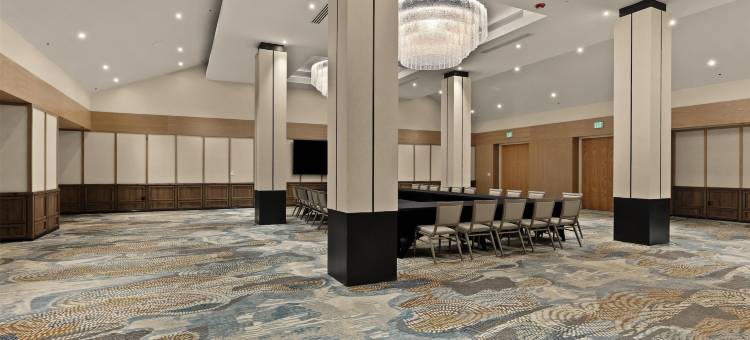 希尔顿格调精选德诺沃酒店(Hotel de Novo Springdale, Tapestry Collection by Hilton)图片