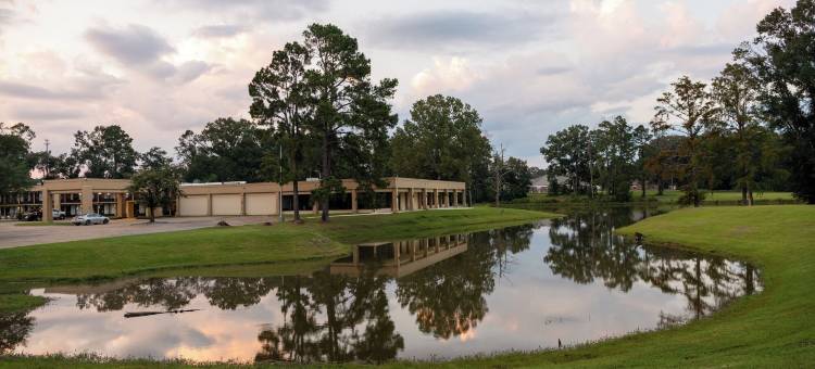 弗朗西斯酒店(Hotel Francis)图片