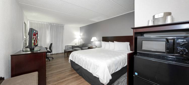 红屋顶PLUS+纽瓦克自由机场 - 卡特雷特(Red Roof Plus+ Newark Liberty Airport - Carteret)图片