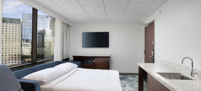 休斯顿希尔顿逸林酒店及套房-医疗中心(DoubleTree by Hilton Houston Medical Center Hotel & Suites)图片