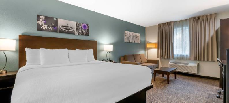 2024年新装修的德尔顿湖-威斯康星戴尔舒眠旅馆和套房(Sleep Inn & Suites)图片