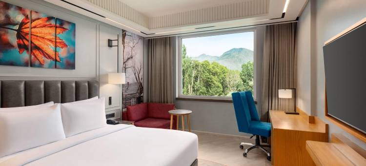 温德姆华美达安可拉杰巴格斯里纳格酒店(Ramada Encore by Wyndham Rajbagh Srinagar)图片