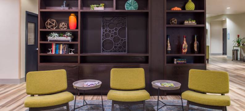 达拉斯艾迪生假日套房酒店(Holiday Inn & Suites DALLAS-ADDISON by IHG)图片