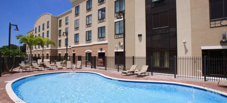 坦帕USF布希花园智选假日酒店及套房(Holiday Inn Express & Suites Tampa -USF-Busch Gardens)图片