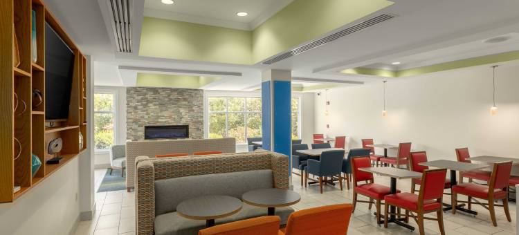 宾汉顿大学-韦斯塔尔智选假日套房酒店(Holiday Inn Express & Suites Binghamton University-Vestal)图片