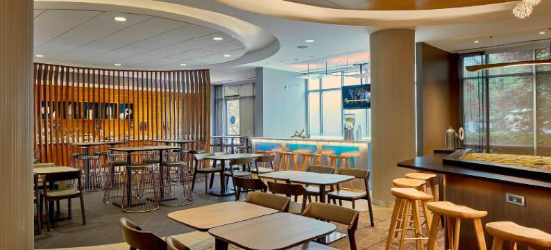 亚特兰大关口机场万豪SpringHill酒店(SpringHill Suites Atlanta Airport Gateway)图片