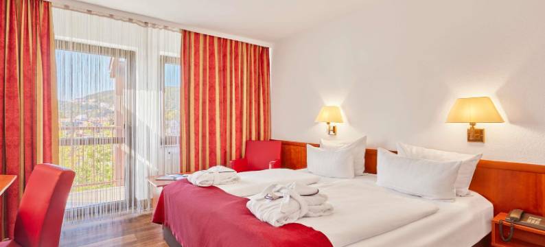 美居巴特迪克海姆酒店(Mercure Hotel Bad Duerkheim An Den Salinen)图片