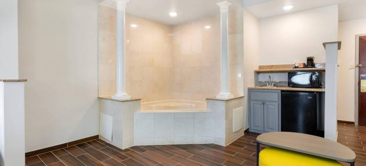 东布朗士维克南河舒适套房酒店(Comfort Suites East Brunswick - South River)图片