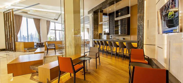 迪亚巴克尔诺富特酒店(Novotel Diyarbakir)图片