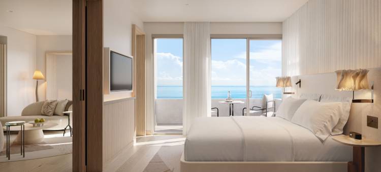 德拉诺迈阿密海滩南海滩酒店(Delano South Beach Miami)图片