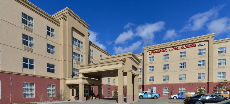 埃德蒙顿国际机场希尔顿欢朋套房酒店(Hampton Inn & Suites by Hilton Edmonton International Airport)图片