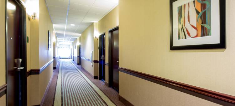 东门贝斯特韦斯特优质套房酒店(Best Western Plus Eastgate Inn  Suites)图片