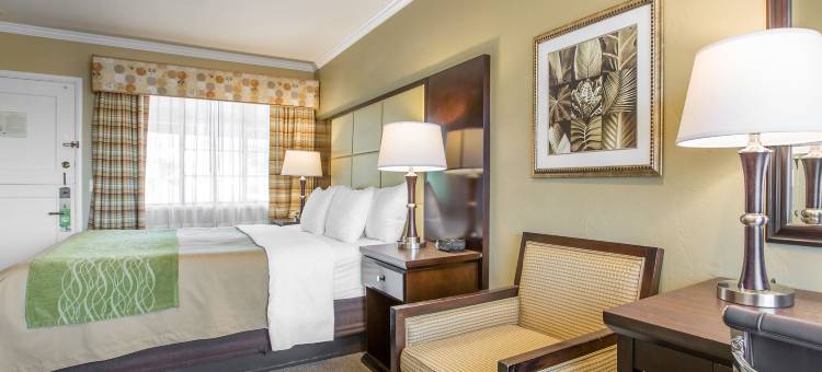 舒适酒店-卡梅尔海边(Comfort Inn Carmel by the Sea)图片