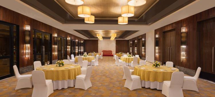 比拉斯布尔万怡酒店(Courtyard Bilaspur)图片