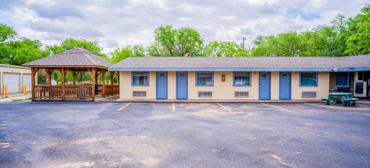 OYO Snyder TX 紫色鼠尾草(Purple Sage by OYO Snyder TX)图片