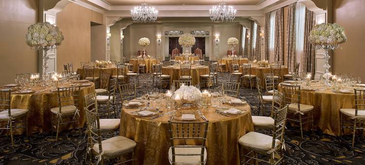 科勒尔盖布尔斯-科洛纳德酒店-傲途格精选(Hotel Colonnade Coral Gables, Autograph Collection)图片