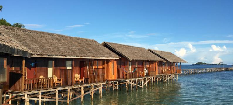 哈姆安帕国王生态潜水度假村(Hamueco Dive Resort Raja Ampat)图片