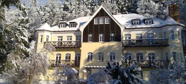 维里斯池别墅酒店(Villa Wilisch)图片