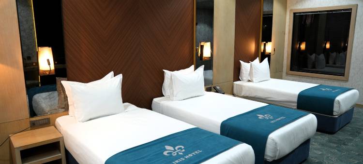 Iris Hotel 巴库- 酒店(Iris Hotel Baku - Halal Hotel)图片