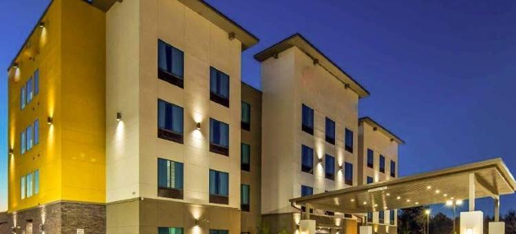 休斯顿 I-45 北 - IAH 舒适套房酒店(Comfort Inn & Suites Houston I-45 North - IAH)图片