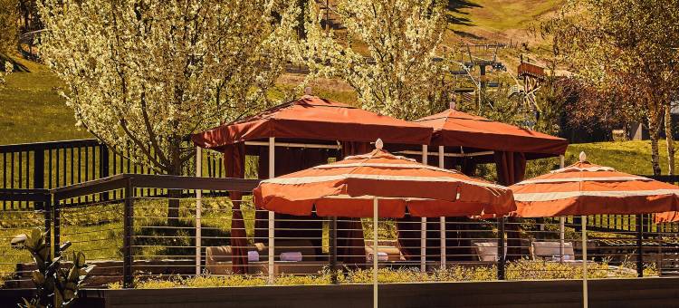 斯诺基恩度假酒店(Trailborn Jackson Hole)图片