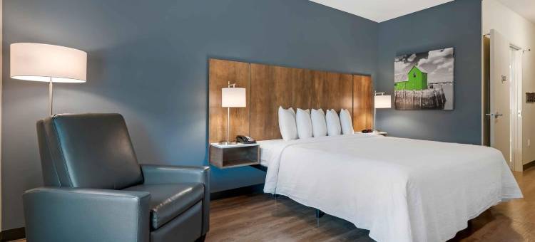 美国长住酒店-代托纳海滩-奥蒙德海滩(Extended Stay America Premier Suites - Daytona Beach - Ormond Beach)图片