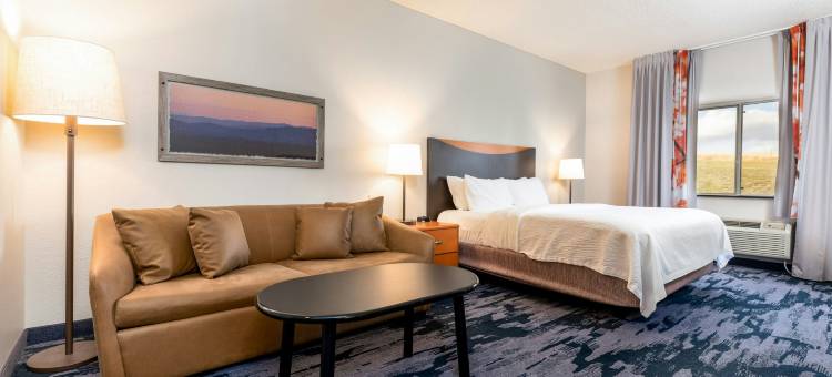 斯皮尔菲什万枫酒店及套房(Fairfield Inn & Suites Spearfish)图片