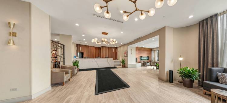 希尔顿芝加哥-橡树草坪(Hilton Chicago/Oak Lawn)图片