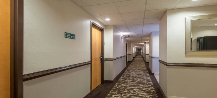 红屋顶旅馆及套房比洛克西 - 海洋泉(Red Roof Inn & Suites Biloxi - Ocean Springs)图片