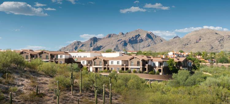 图森帕洛马村希尔顿安泊套房酒店(Embassy Suites by Hilton Tucson Paloma Village)图片