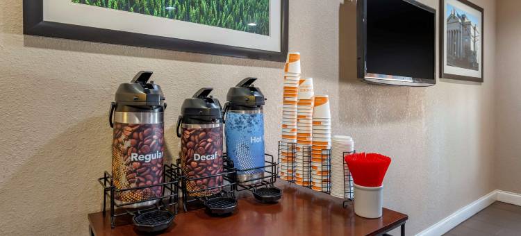 舒适套房酒店(Comfort Inn & Suites)图片