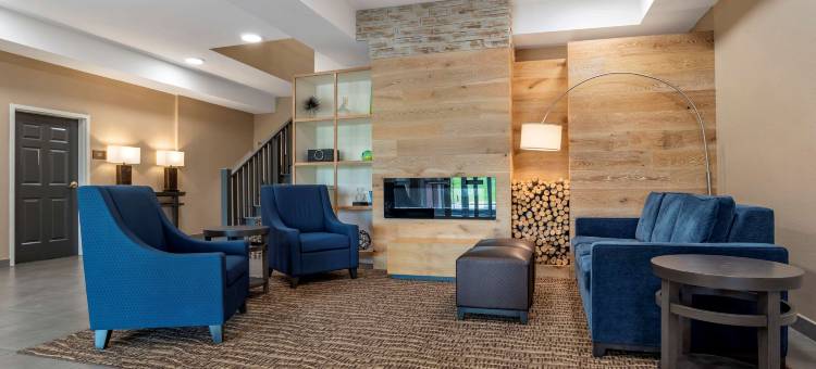 米尔布鲁克-普拉特维尔舒适套房酒店(Comfort Inn & Suites Millbrook-Prattville)图片