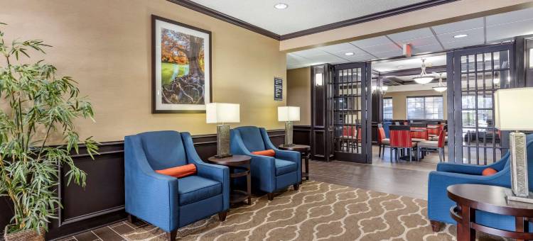 德克萨斯州山坡乡村舒适套房酒店(Comfort Inn & Suites Texas Hill Country)图片