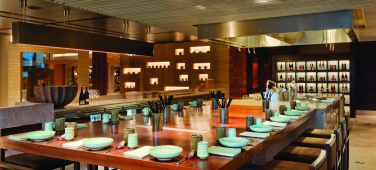 金奈凯悦王朝酒店(Hyatt Regency Chennai)图片