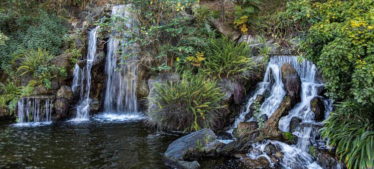帕萨迪纳-阿卡迪亚艾美酒店(Le Méridien Pasadena Arcadia)图片