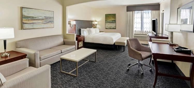 休斯顿市中心贝斯特韦斯特优质套房酒店(Best Western Plus Downtown Inn  Suites)图片
