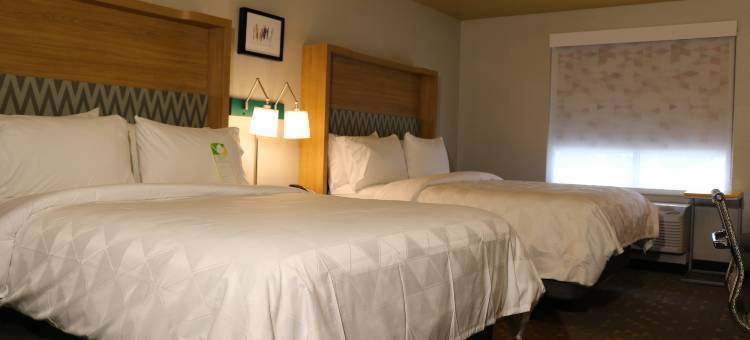 琼斯伯勒假日酒店(Holiday Inn Jonesboro)图片