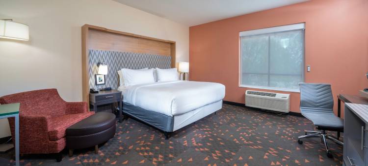 Holiday Inn 圣路易斯(CREVE大教堂)(Holiday Inn ST. Louis - Creve Coeur)图片