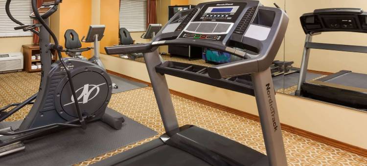 南本德-巴黎圣母院麦客达套房酒店(Microtel Inn & Suites by Wyndham South Bend/at Notre Dame)图片