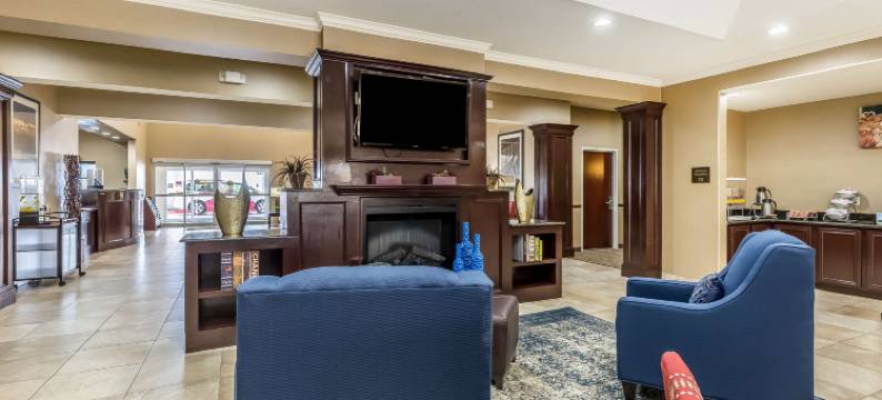 休斯顿IAH机场环城公路8舒适套房酒店(Comfort Suites Houston IAH Airport - Beltway 8)图片